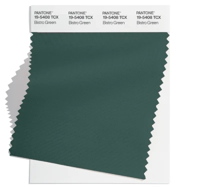 PANTONE 19-5408tcx PANTONE 19-5408tcx